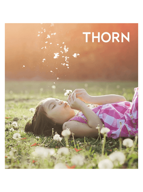 Matched Giving: Donate to Thorn